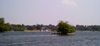 Jamaica Pond