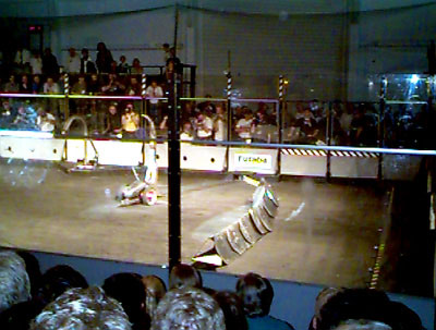 The Snake vs. The Scorpion