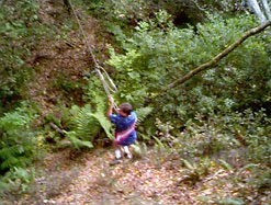 Rope Swing 1