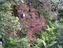 Rope Swing 2